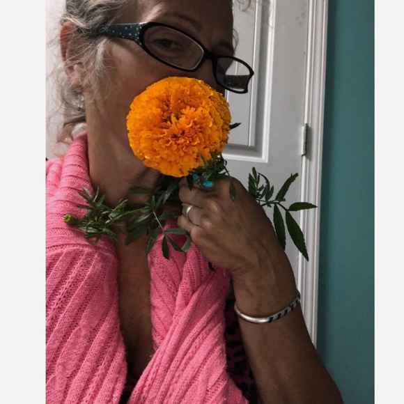 Giant African Marigold Orange Yellow DRIED SEED HEADS Organic 2024~ 1/2 oz - Picture 2 of 4